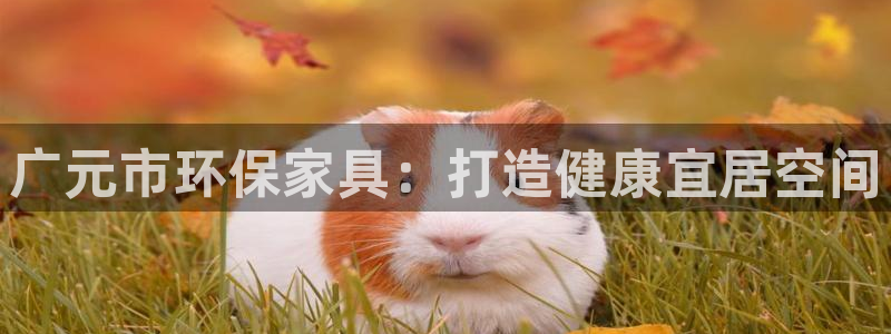 杏耀平台没有了