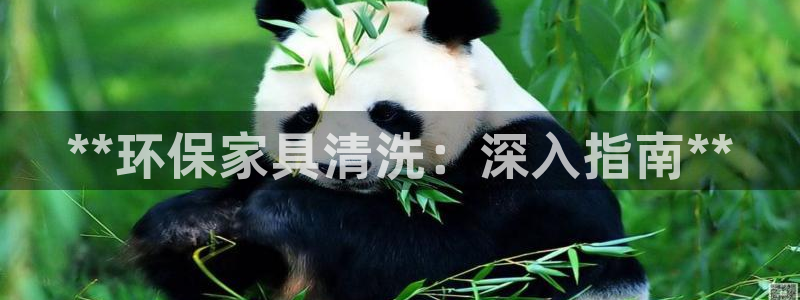 杏耀官网网站：**环保家具清洗：深入指南**