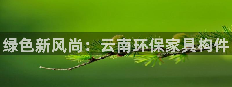 杏耀平台官网