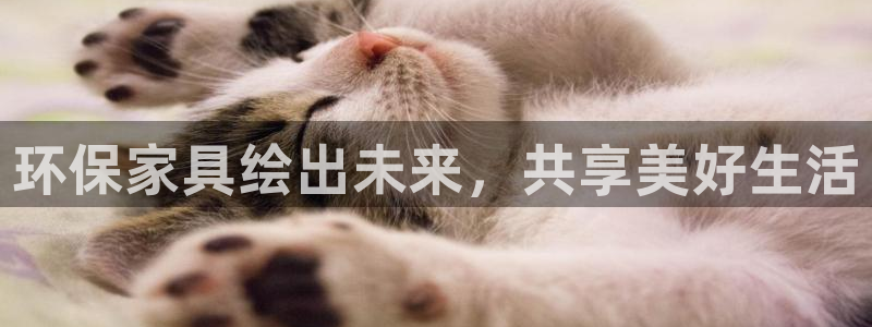 杏耀代理日工资多少：环保家具绘出未来，共享美好生活