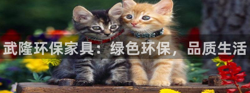 杏耀平台网页版