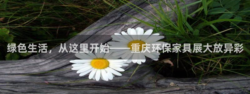 杏耀注册登陆：绿色生活，从这里开始——重庆环保家具展大放异彩