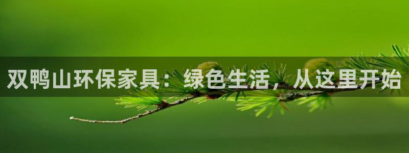 杏耀测速登录地址：双鸭山环保家具：绿色生活，从这里开始