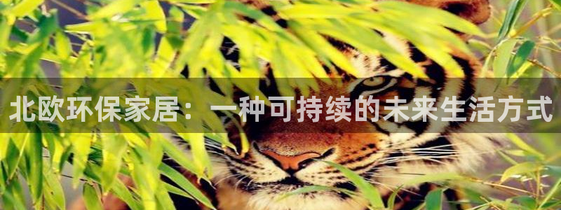杏耀测速网址电脑版：北欧环保家居：一种可持续的未来生活方式