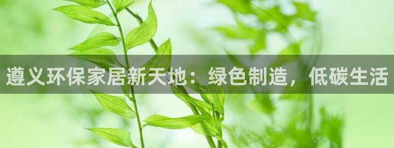 杏耀总代：遵义环保家居新天地：绿色制造，低碳生活