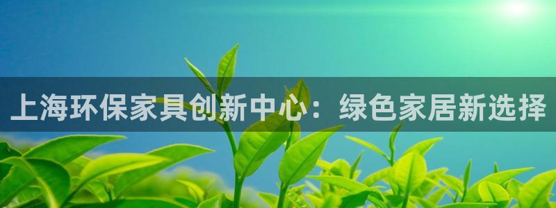 杏耀平台还在吗：上海环保家具创新中心：绿色家居新选择