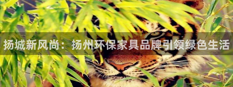 杏耀平台黑款