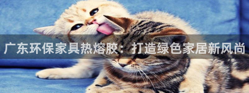杏耀是什么平台：广东环保家具热熔胶：打造绿色家居新风尚