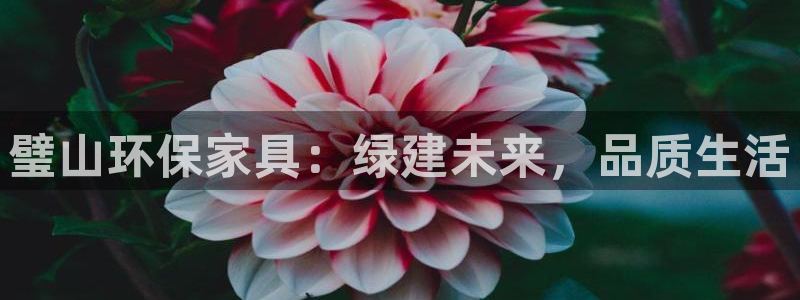 杏耀平台登录网址是什么：璧山环保家具：绿建未来，品质生活