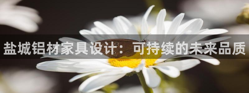杏耀平台注册入口：盐城铝材家具设计：可持续的未来品质