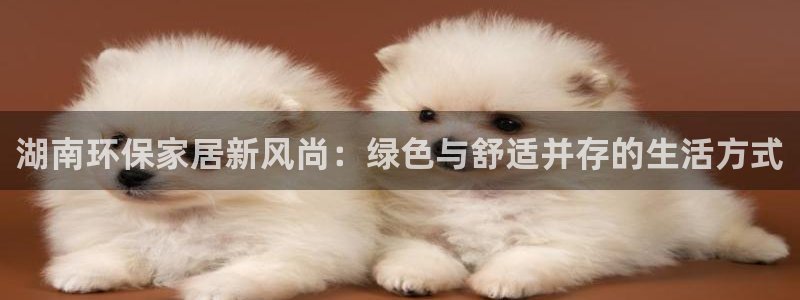 杏耀平台待遇