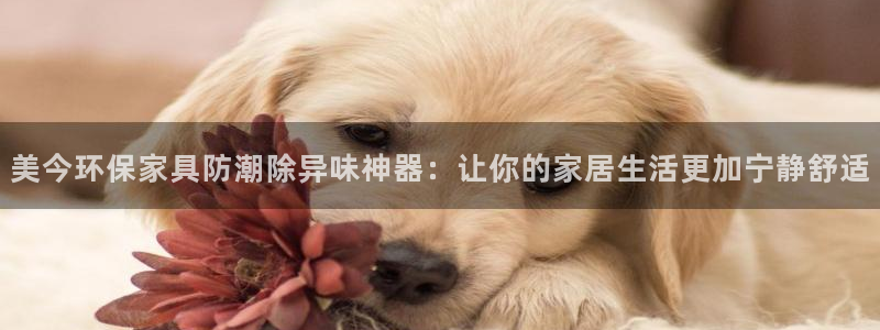 杏耀官网注册：美今环保家具防潮除异味神器：让你的家居生活更加