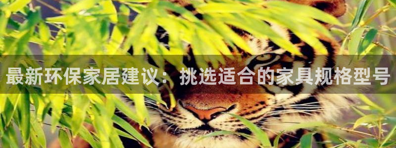 杏耀登陆测速