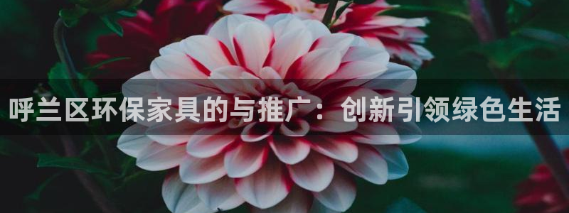 杏耀平台一安全注册入口：呼兰区环保家具的与推广：创新引领绿色