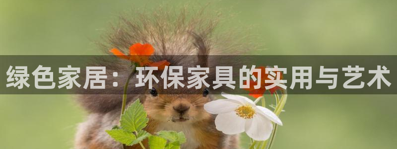 杏耀平台服务中心怎么样：绿色家居：环保家具的实用与艺术