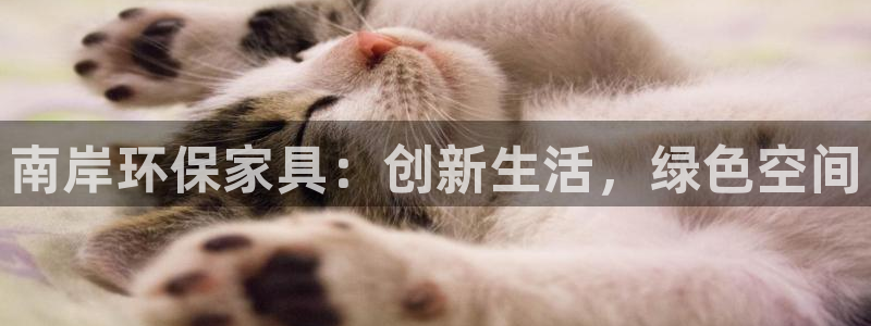 杏耀注册登录平台：南岸环保家具：创新生活，绿色空间