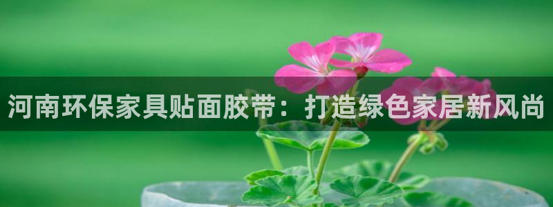 杏耀测速网址电脑版