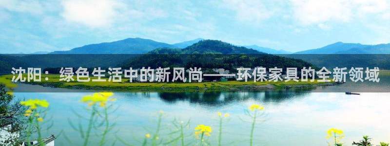 杏耀注册登录测速：沈阳：绿色生活中的新风尚——环保家具的全新