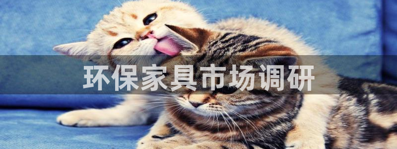 杏耀平台首页登录：环保家具市场调研