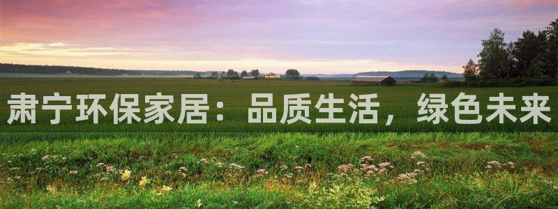 杏耀注册地址：肃宁环保家居：品质生活，绿色未来