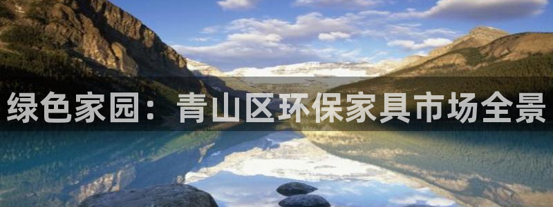 杏耀注册开户：绿色家园：青山区环保家具市场全景