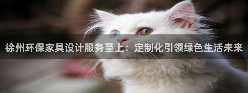 杏耀官网app：徐州环保家具设计服务至上：定制化引领绿色生活