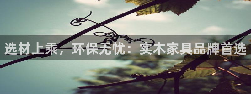 杏耀平台还在吗：选材上乘，环保无忧：实木家具品牌首选