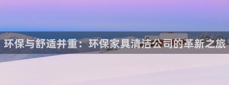 杏耀管网登录：环保与舒适并重：环保家具清洁公司的革新之旅