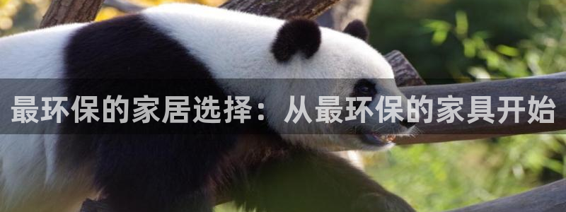 杏耀平台代理注册：最环保的家居选择：从最环保的家具开始