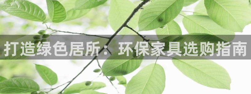 杏耀平台开户