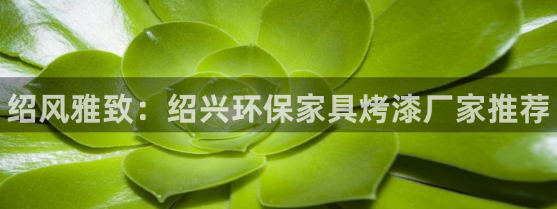 杏耀注册网址：绍风雅致：绍兴环保家具烤漆厂家推荐