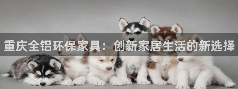 杏耀平台注册网址：重庆全铝环保家具：创新家居生活的新选择