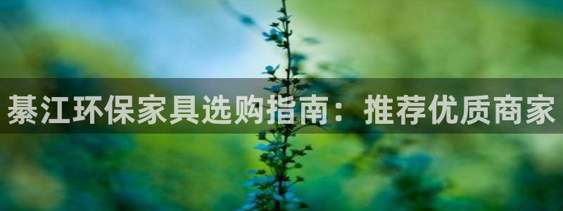 杏耀注册登录测速：綦江环保家具选购指南：推荐优质商家