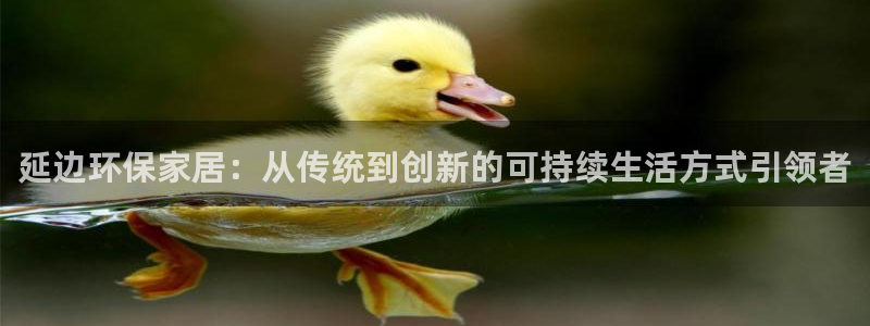 杏耀注册登录：延边环保家居：从传统到创新的可持续生活方式引领